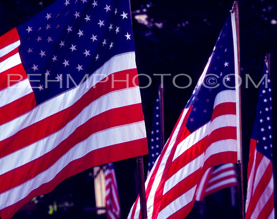 Flags 2