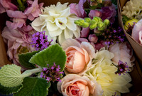 Curated for Julianne