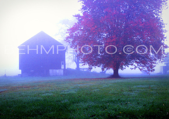 Autumn Fog