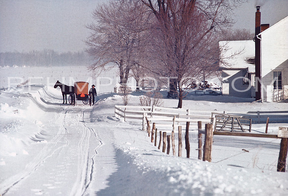 Frosty Morning