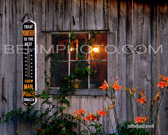Shop Window