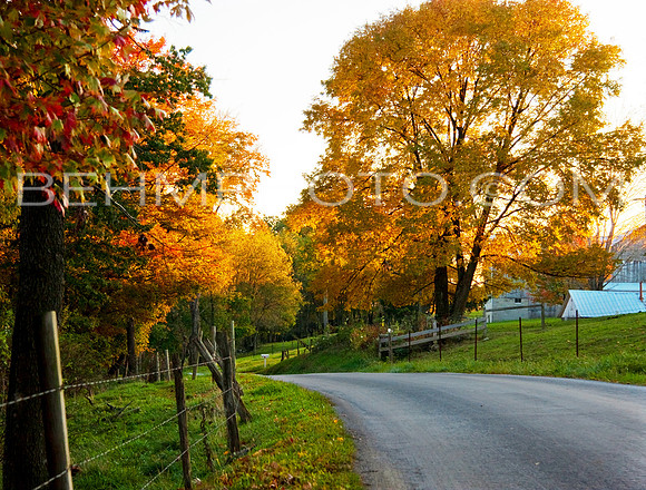 Covered Bridge Road