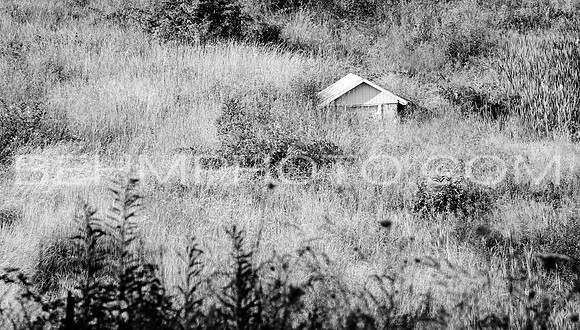 Hillside Springhouse